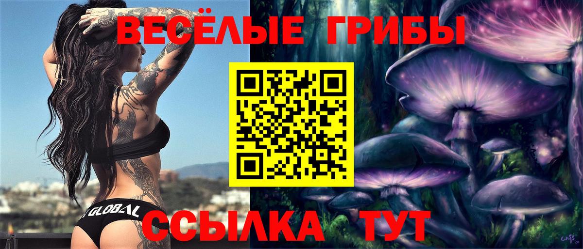 Псилоцибиновые грибы Psilocybine cubensis Нижний Тагил